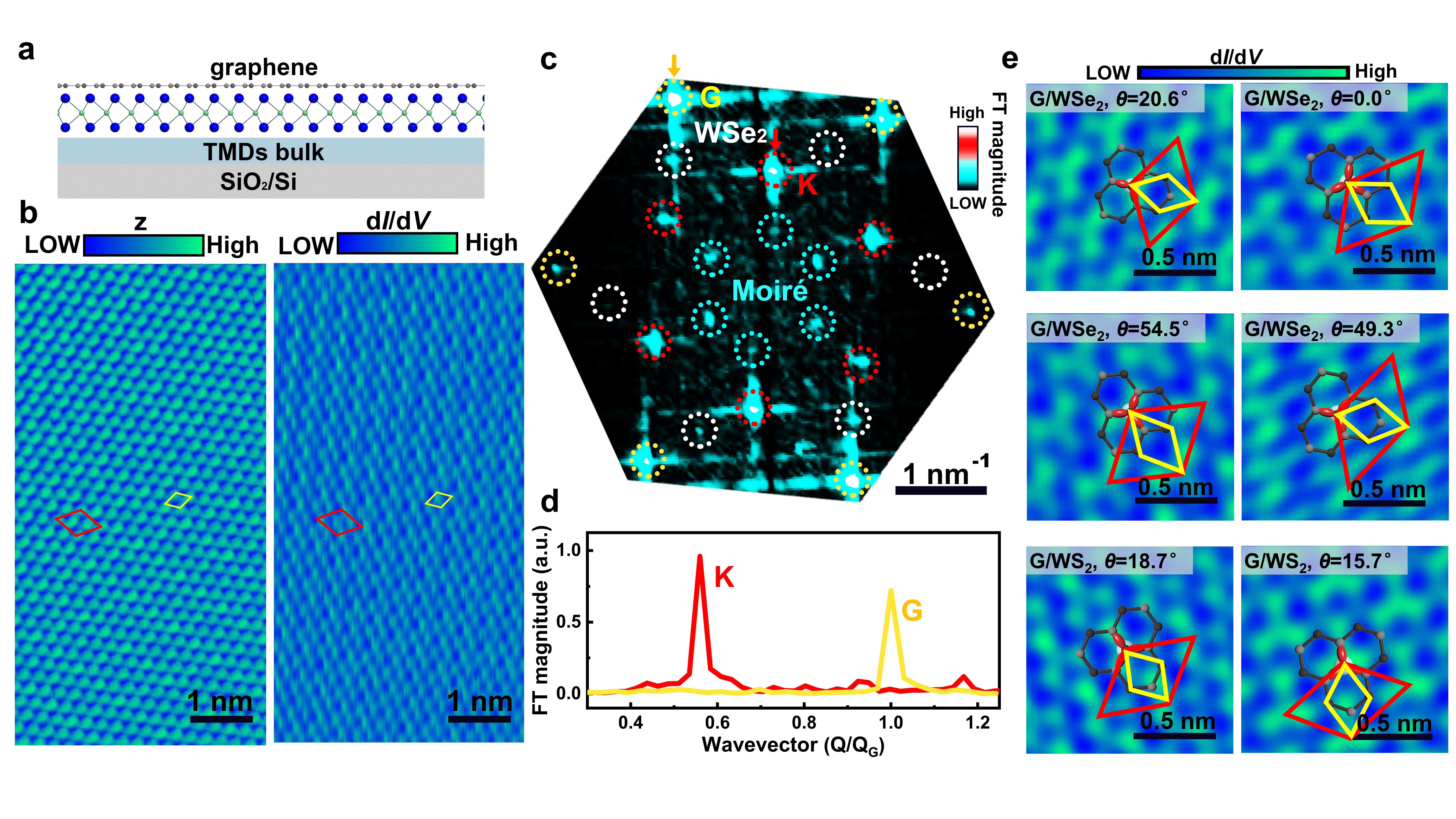 yy.vip易游-扫描隧道电子显微镜教程方案docx
