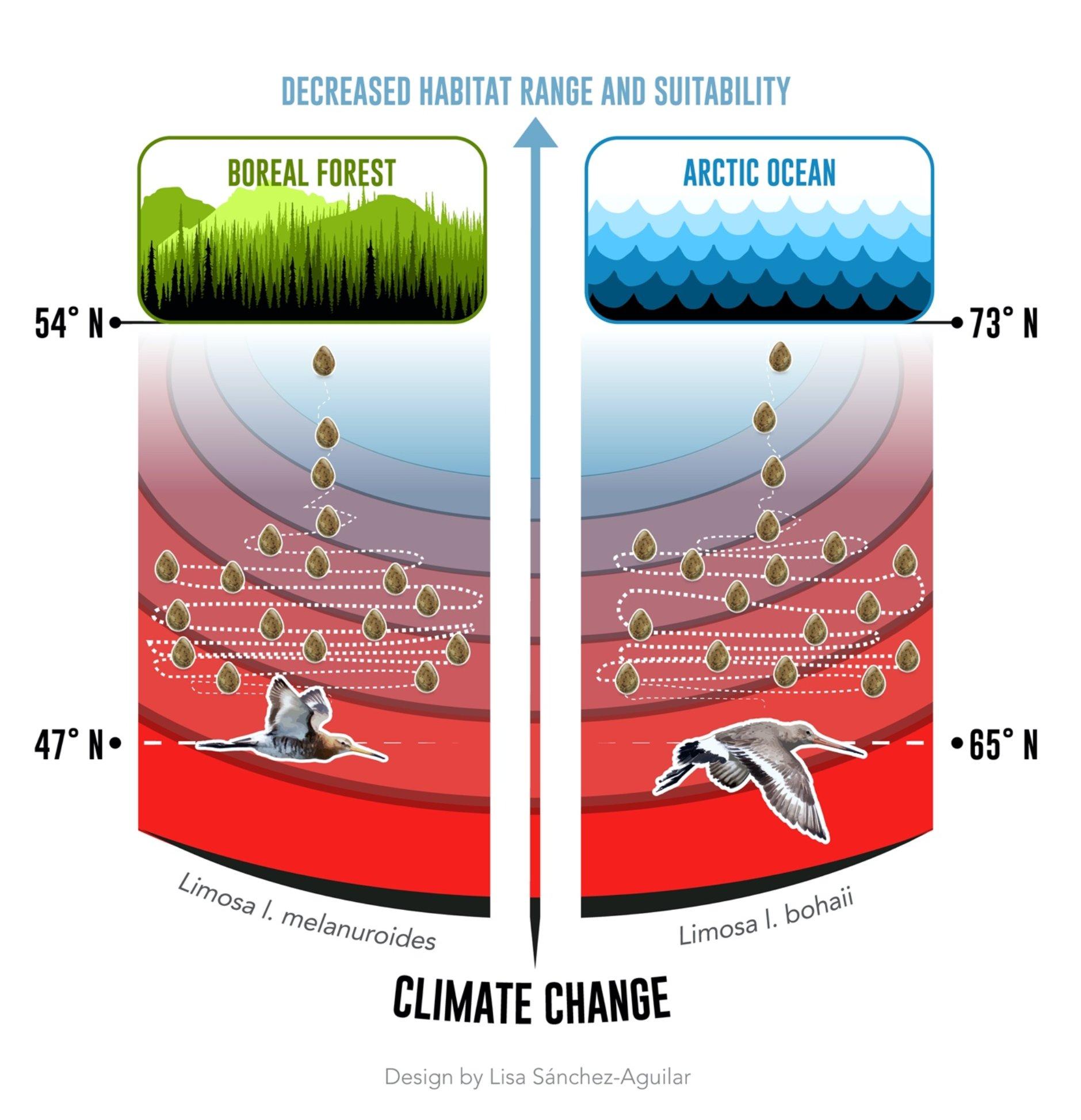 Diagram&#xA;&#xA;Description automatically generated